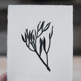Limited edition original lino prints