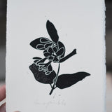 Limited edition original lino prints