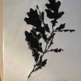 Limited edition original lino prints