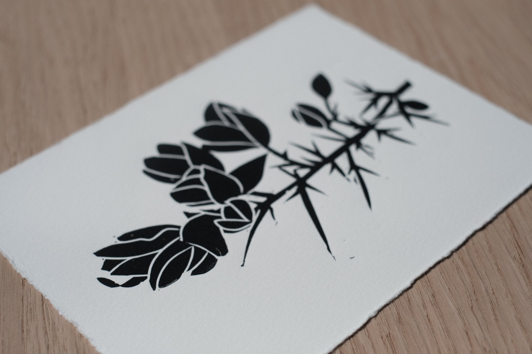 Our Third Gin is Coming…