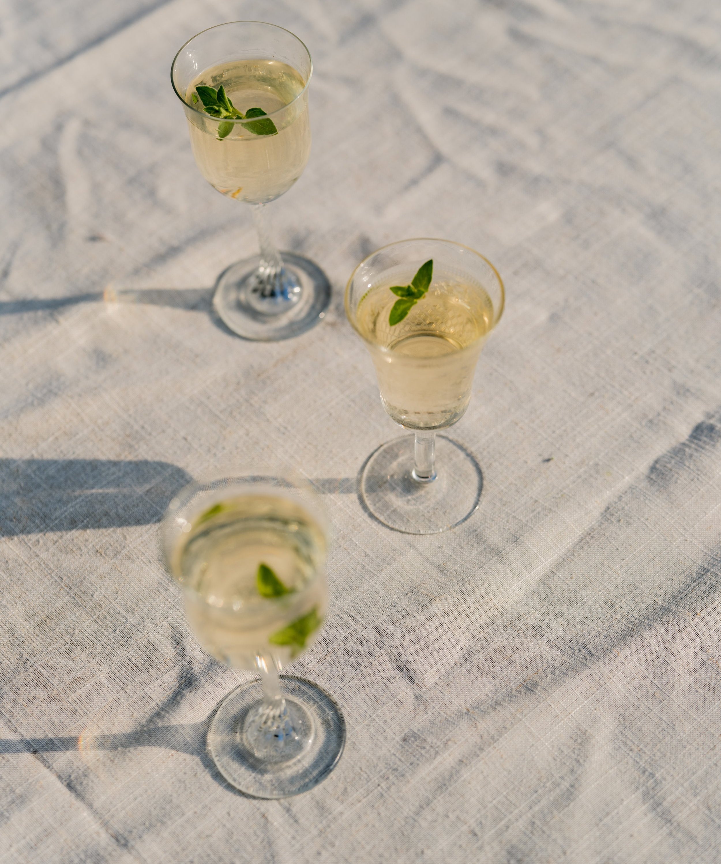 Garden Martini