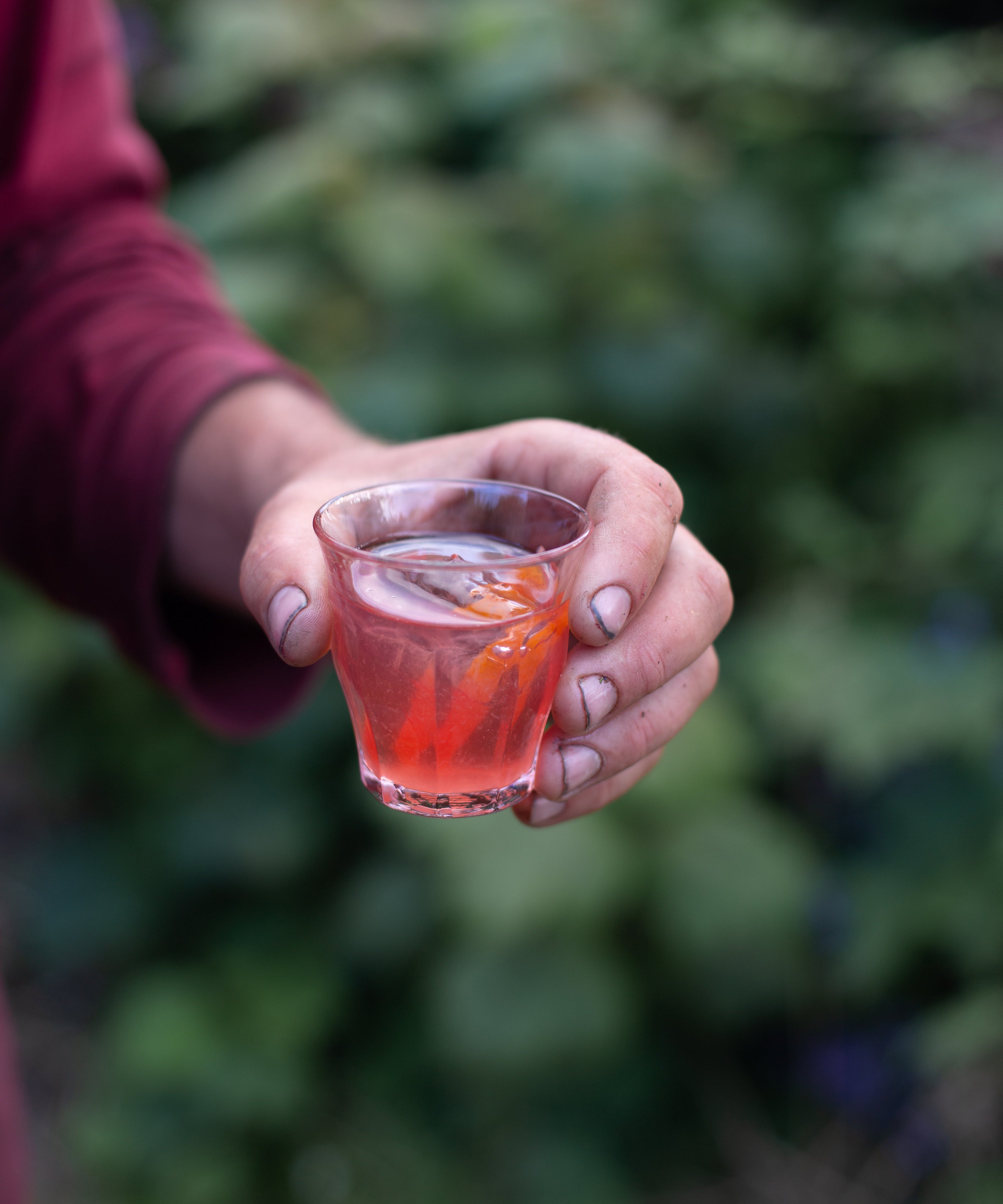 Negroni To Die For