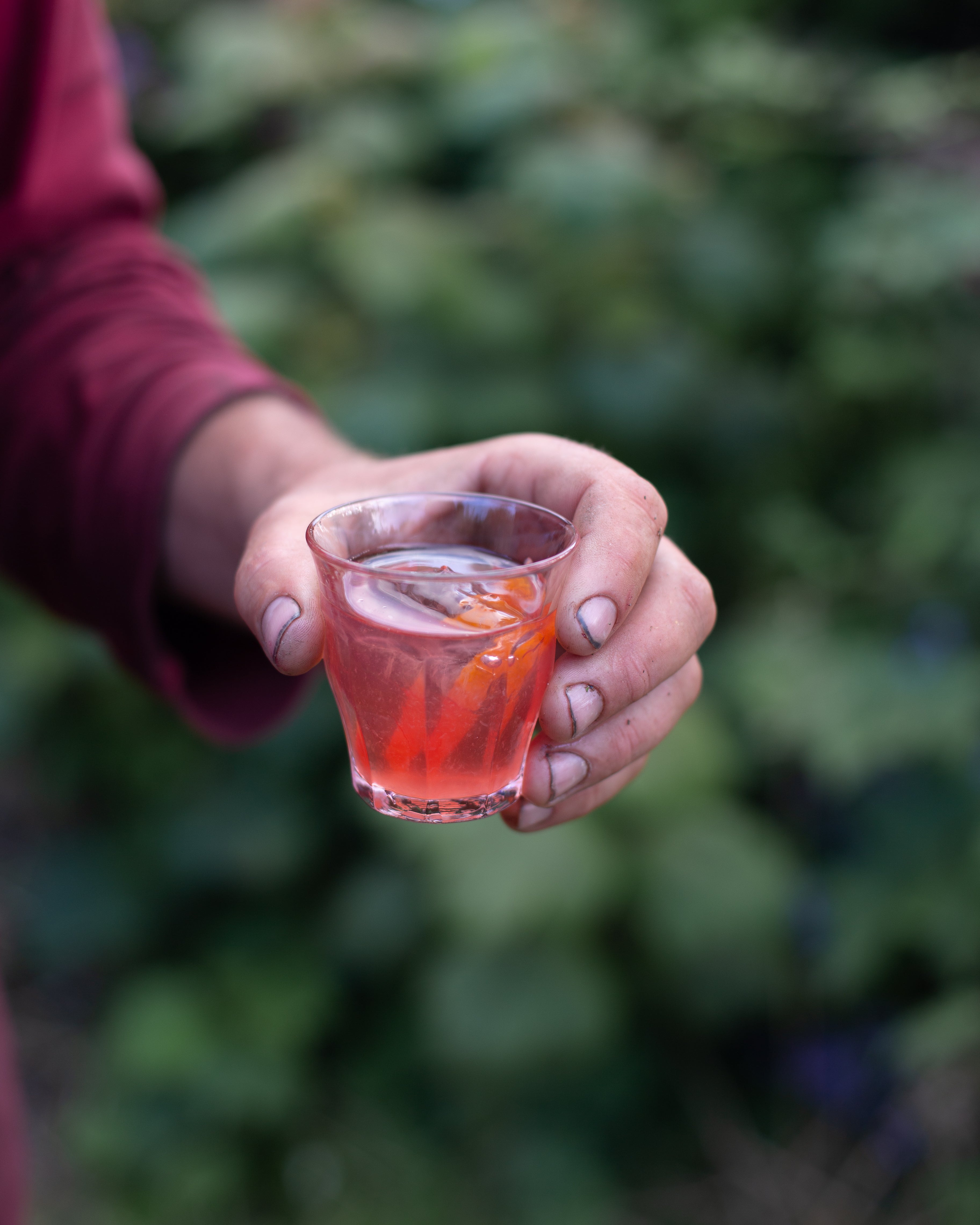 Negroni To Die For