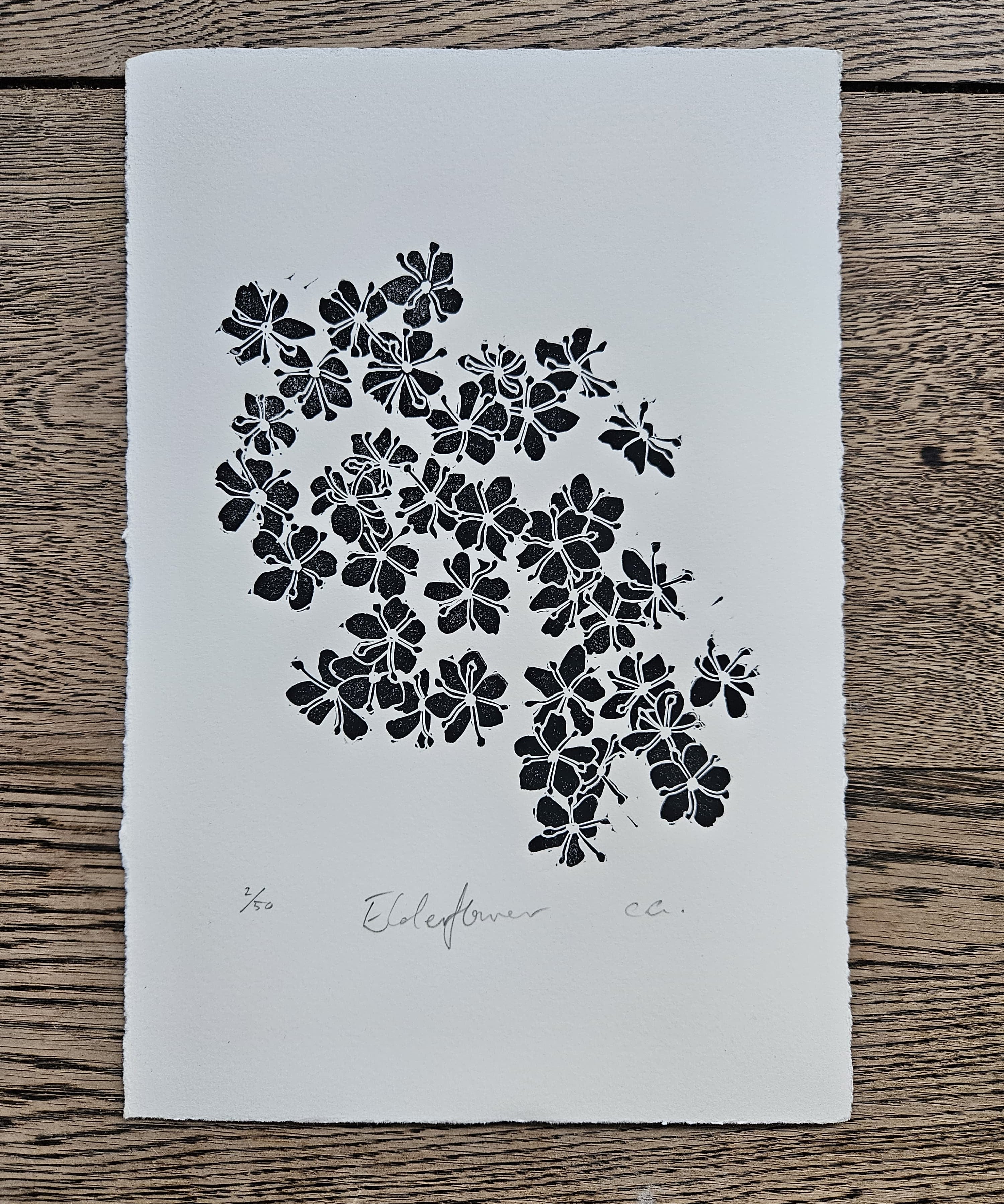 elderflower lino print