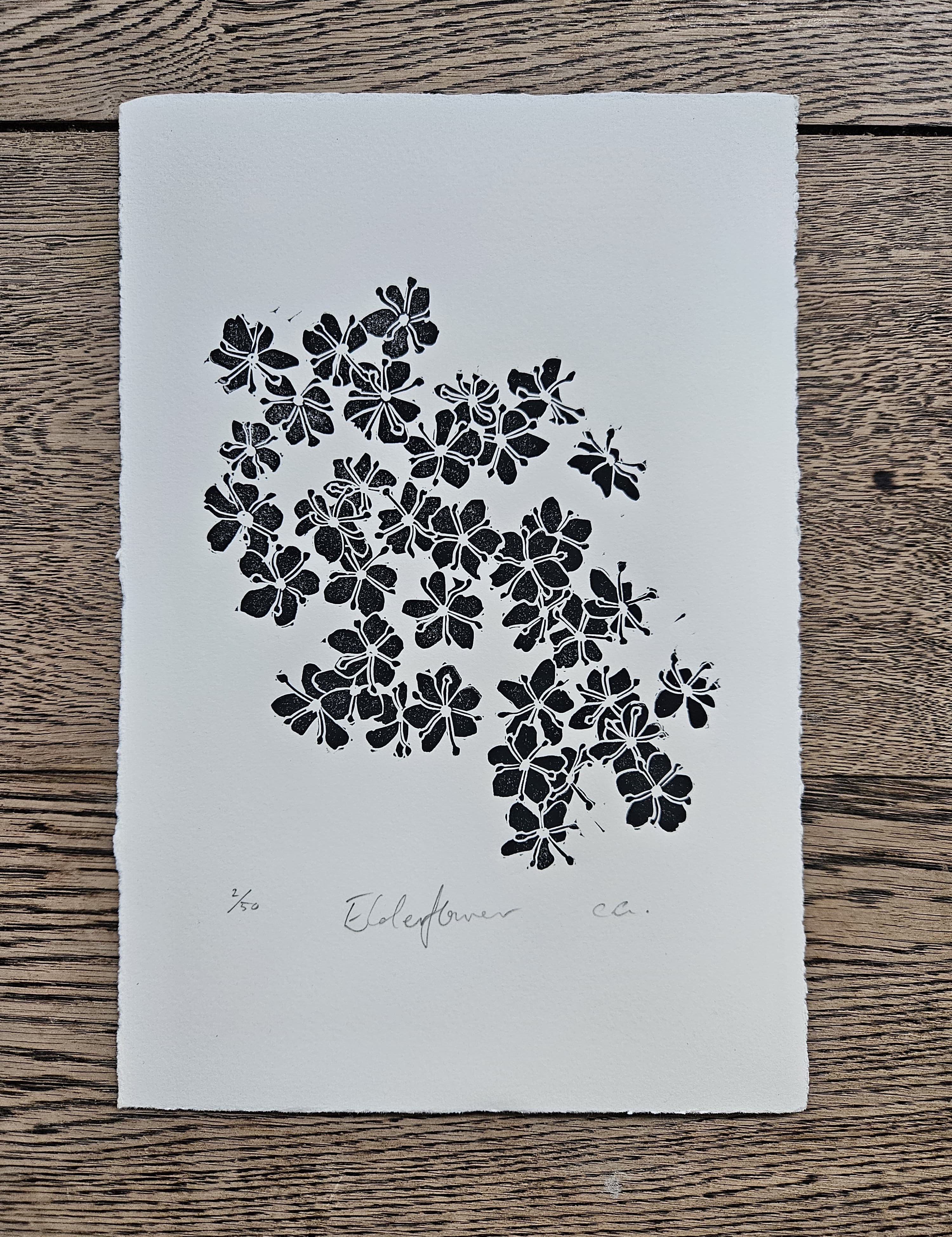 elderflower lino print