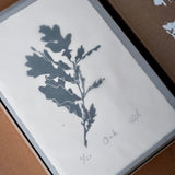 Limited Edition Rum Gift Box
