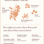 Botanical infographic for Loveday gin: red grapefruit, cardamom, rose, pink peppercorn, juniper, coriander, liquorice root and more