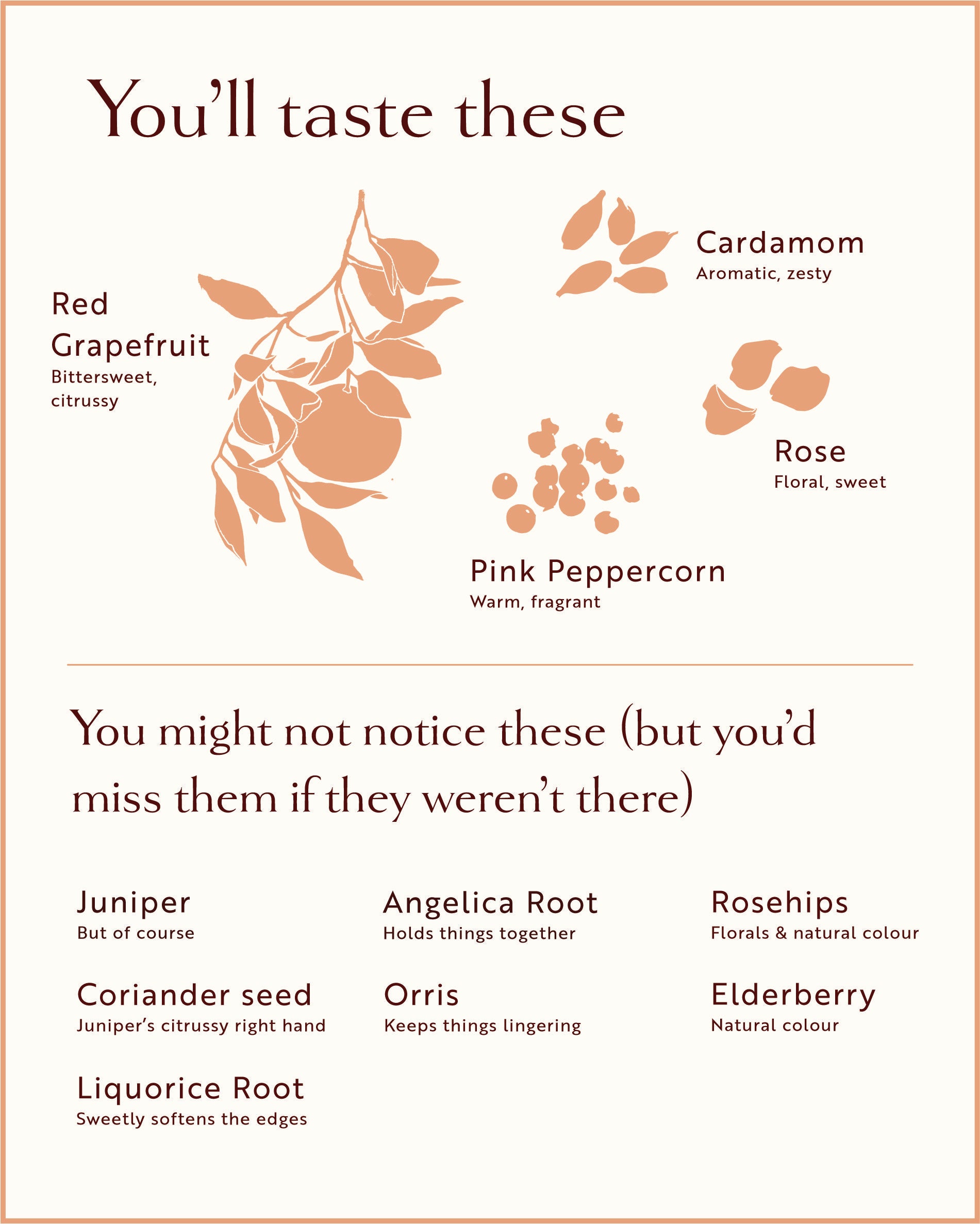 Botanical infographic for Loveday gin: red grapefruit, cardamom, rose, pink peppercorn, juniper, coriander, liquorice root and more