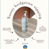Kissing Gate Gin infographic: clear bottle, floral botanicals, Taste of the West Gold 2023, distilled in Cornwall