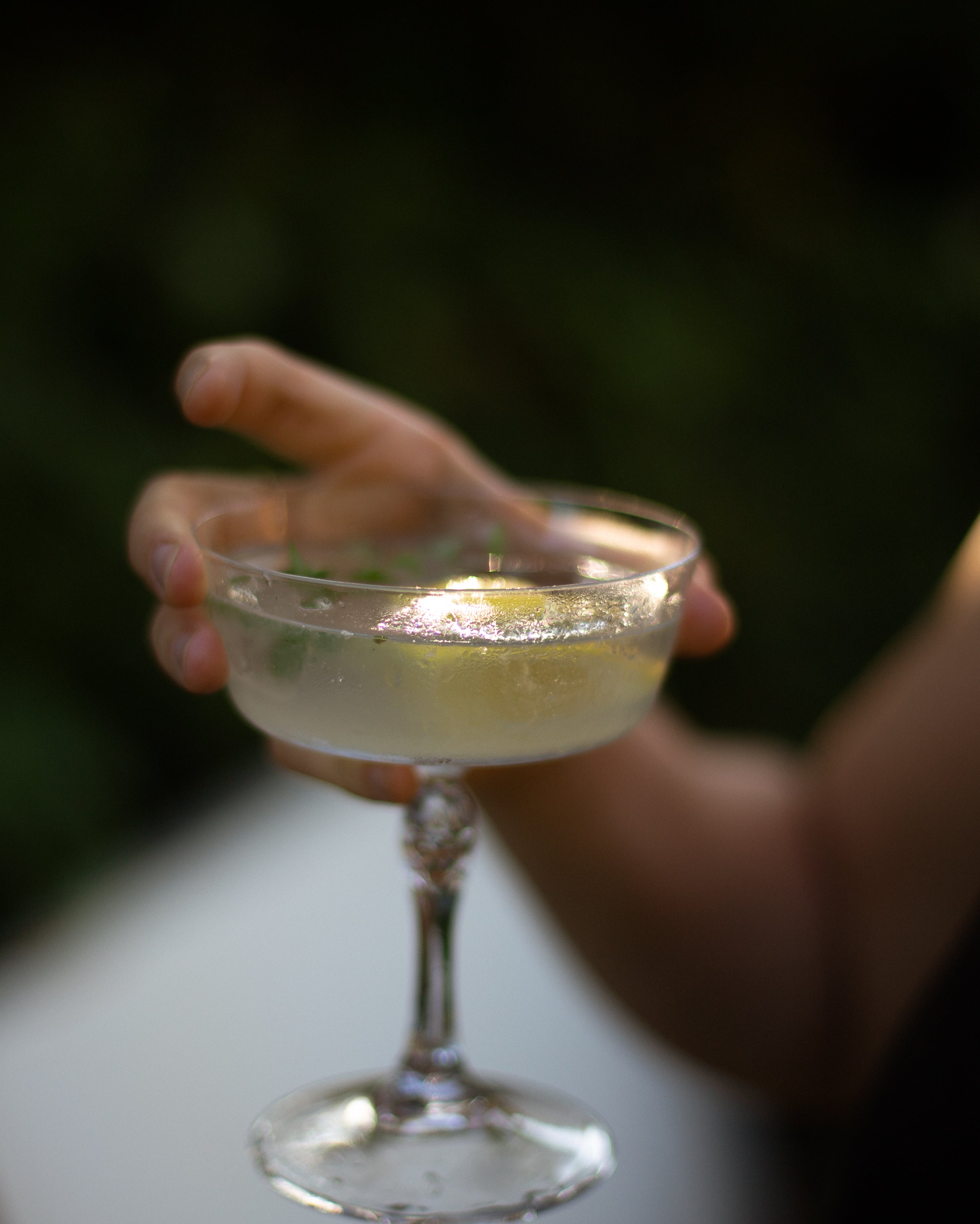 Hand holding a chilled coupe glass of pale golden gin cocktail with herb garnish, outdoors in soft evening light