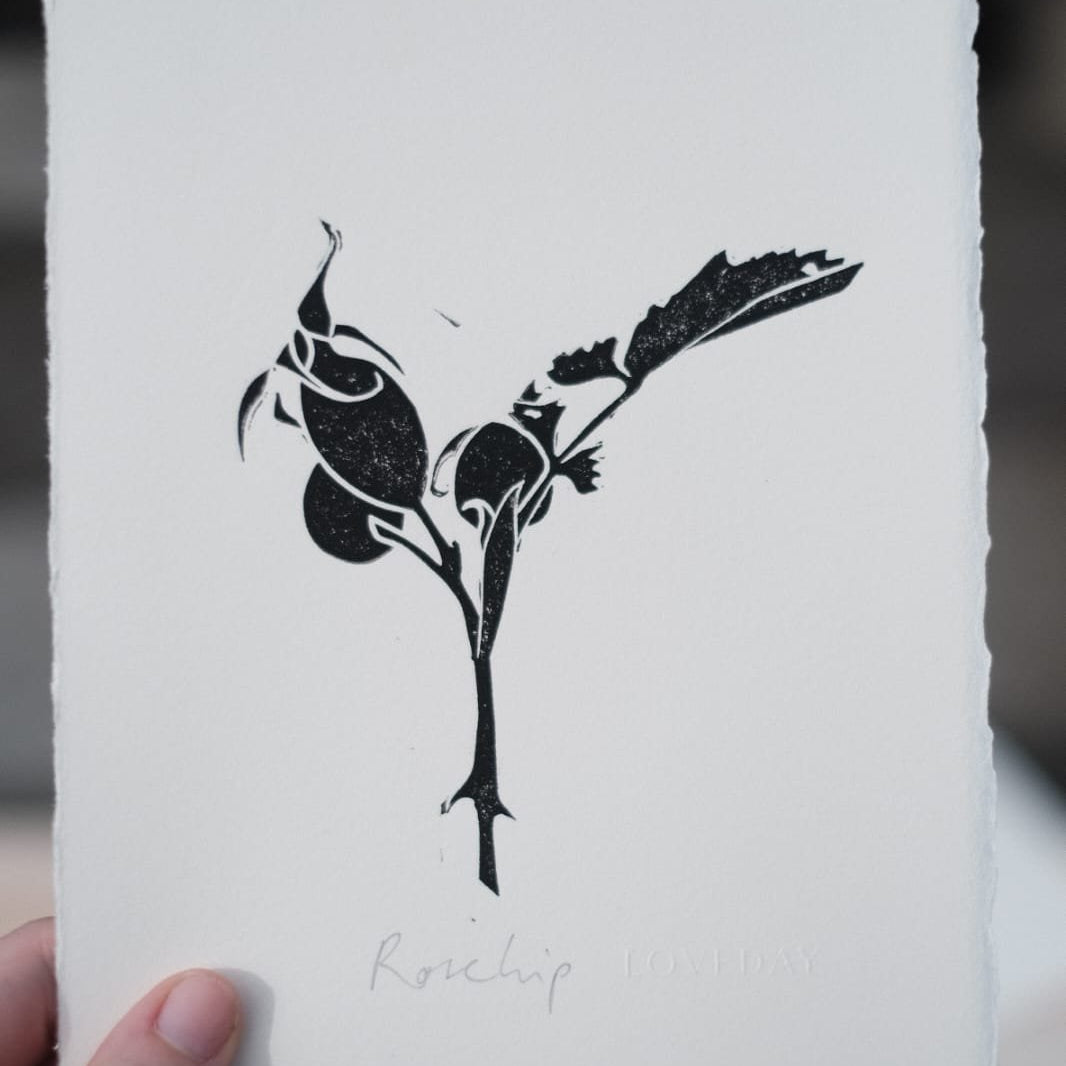 Black lino print of rosehip branch with berries and leaves on deckle-edged paper, titled Rosehip Loveday