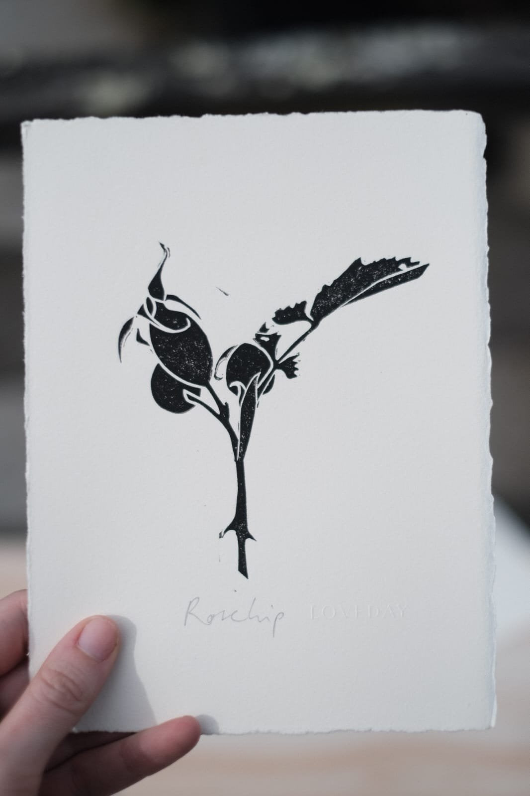 Black lino print of rosehip branch with berries and leaves on deckle-edged paper, titled Rosehip Loveday