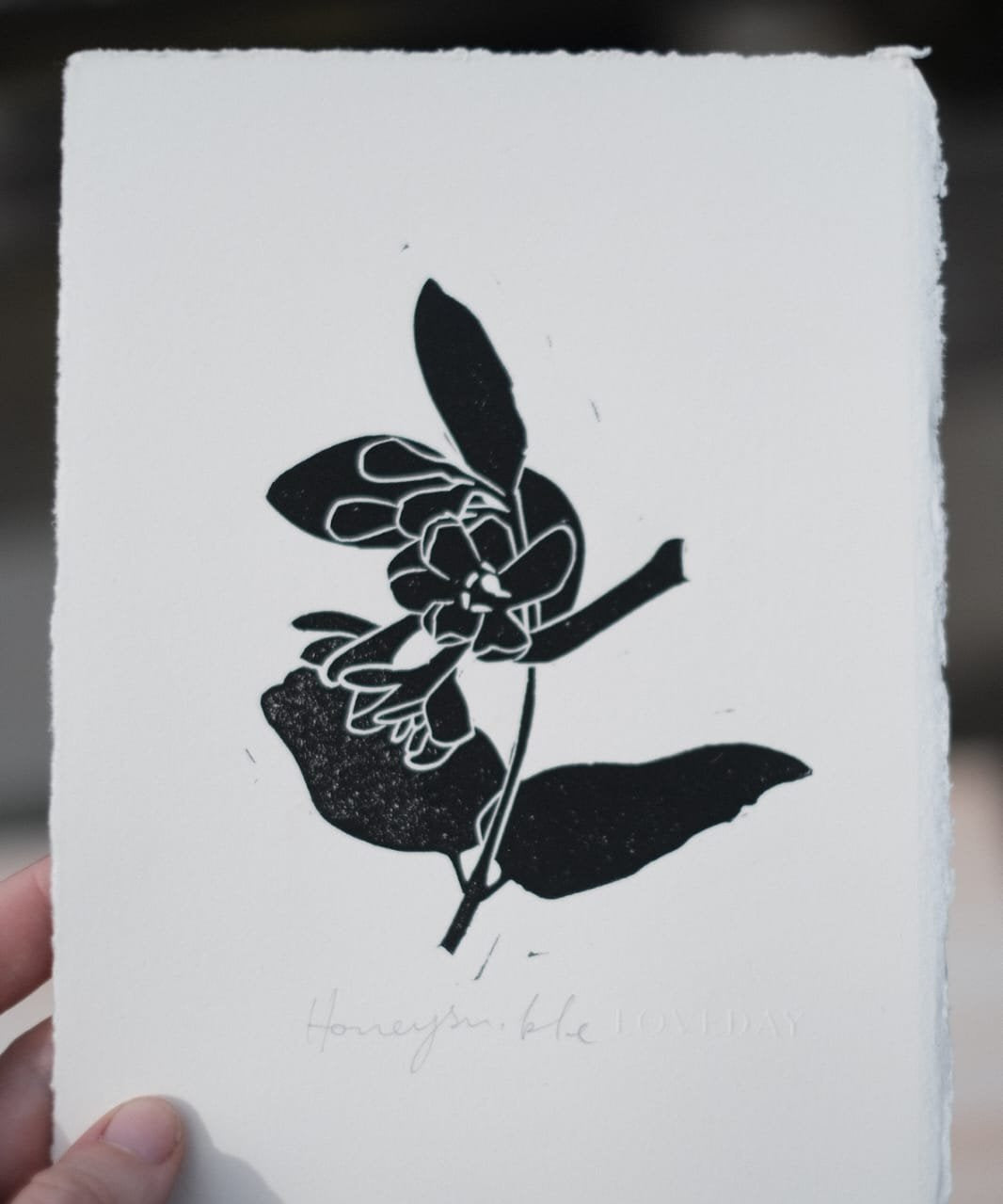 Limited edition original lino prints