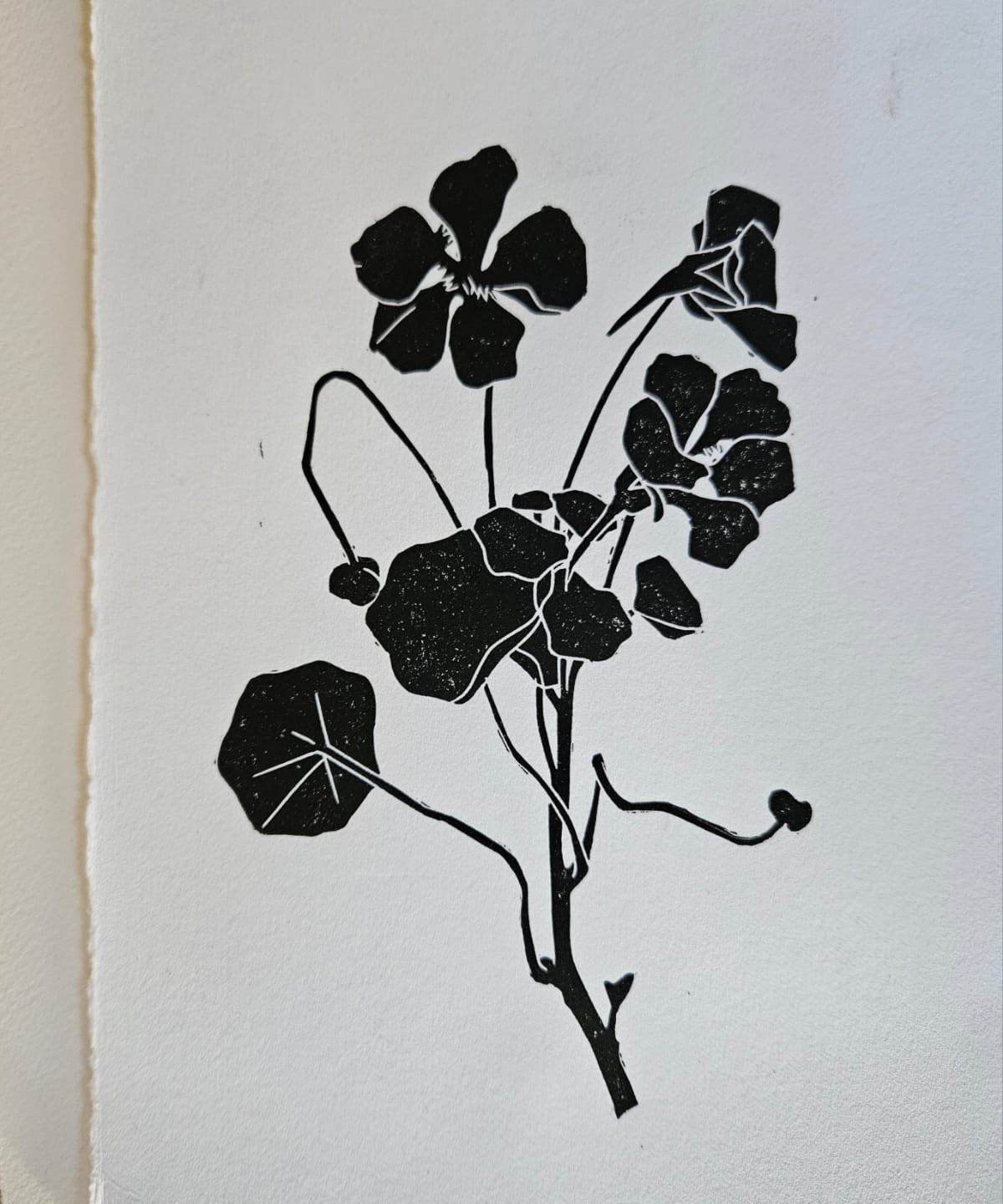 Limited edition original lino prints