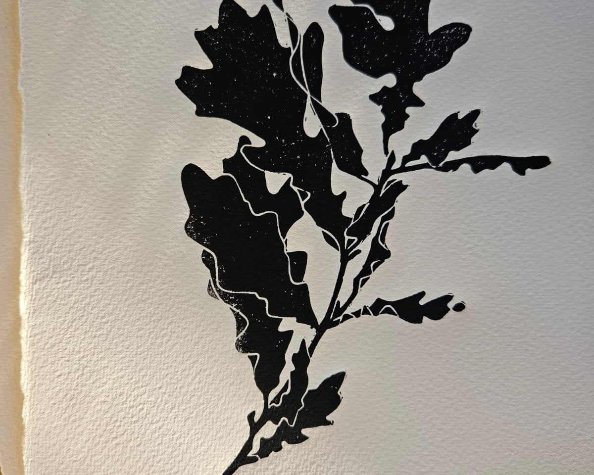 Black linocut print of an oak branch with lobed leaves, numbered 26/200, signed, on textured paper