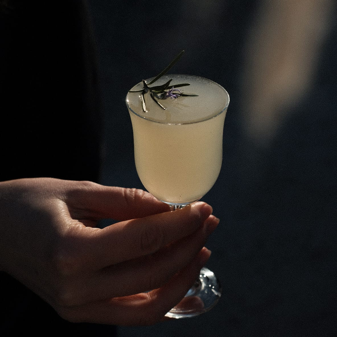 Hand holding a stemmed coupe glass of pale yellow gin cocktail garnished with a rosemary sprig and lavender flower