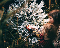 BEDRUTHAN CHRISTMAS MARKET - 22nd & 23rd