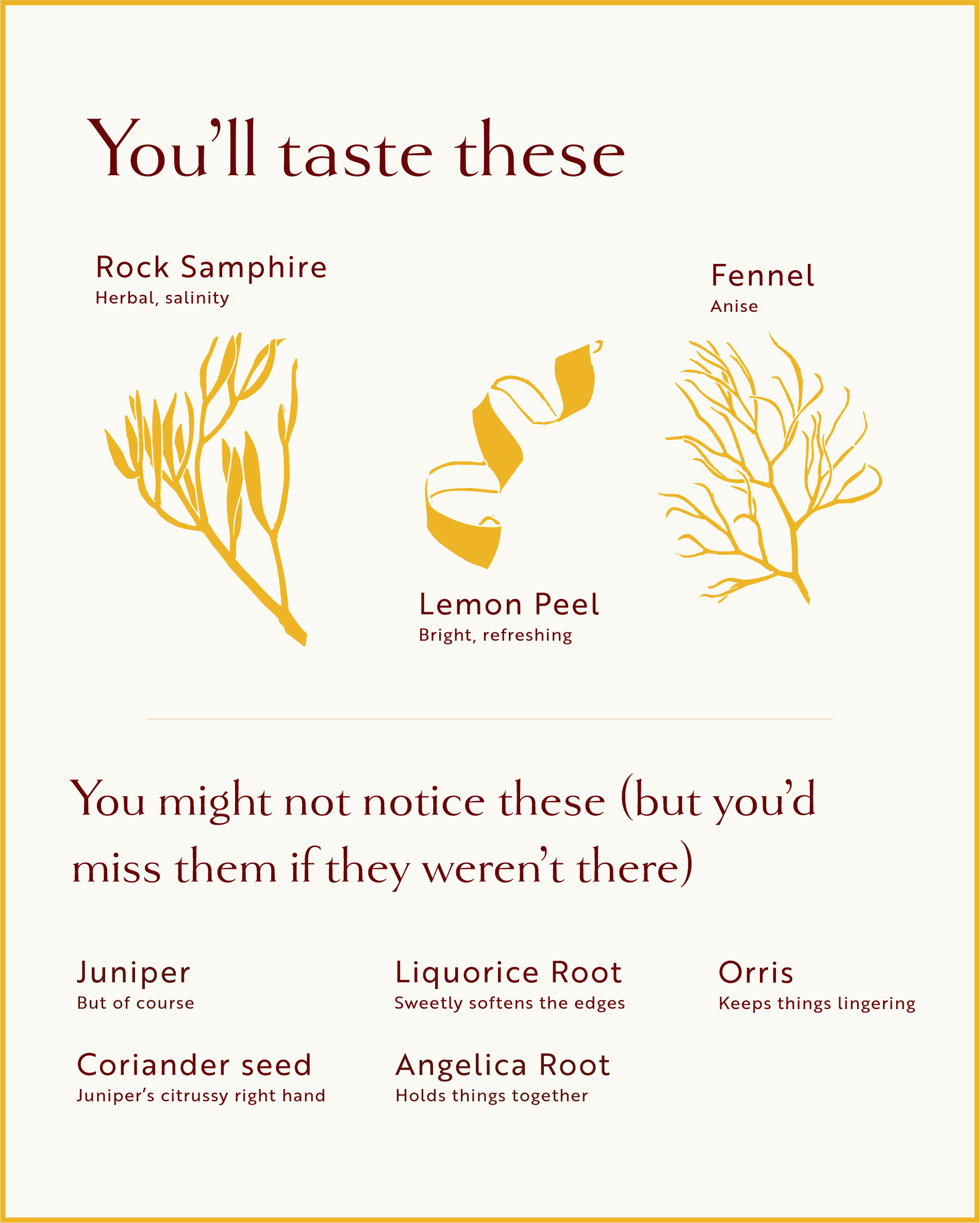 Botanicals graphic showing Loveday Falmouth Dry Gin ingredients: rock samphire, fennel, lemon peel, juniper, coriander seed, liquorice root, angelica root, orris
