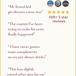 Customer review graphic for Loveday Distillery Falmouth Dry Gin with 4 five-star quotes, 100+ 5-star reviews, and 3 award badges