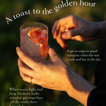 Two hands holding a pink gin and tonic with citrus and berry garnish in golden hour sunlight outdoors