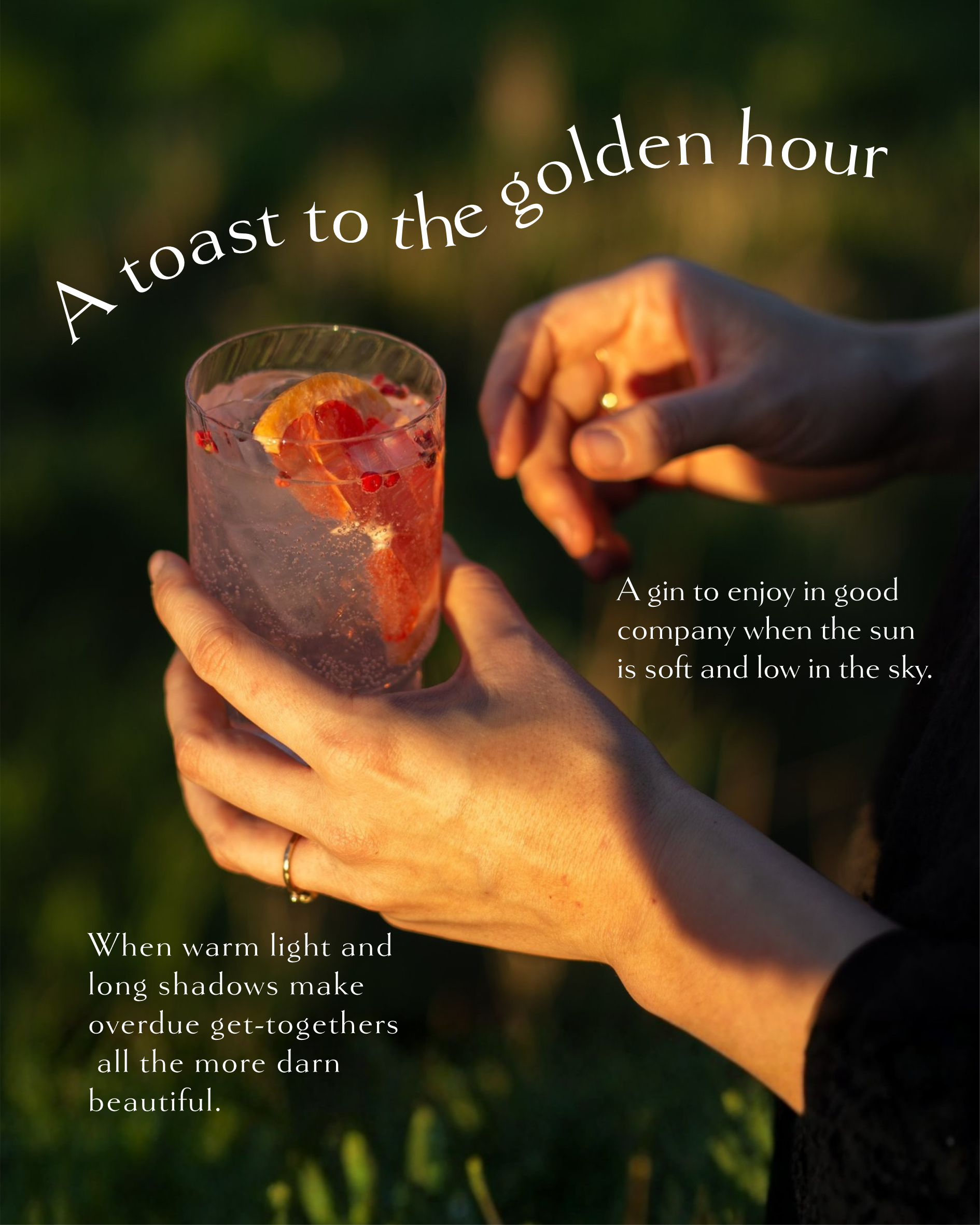 Two hands holding a pink gin and tonic with citrus and berry garnish in golden hour sunlight outdoors