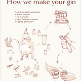 Illustrated infographic showing how Loveday Distillery makes gin: botanicals, still named Mabel, distillate cuts, hand-bottling, and finished serve