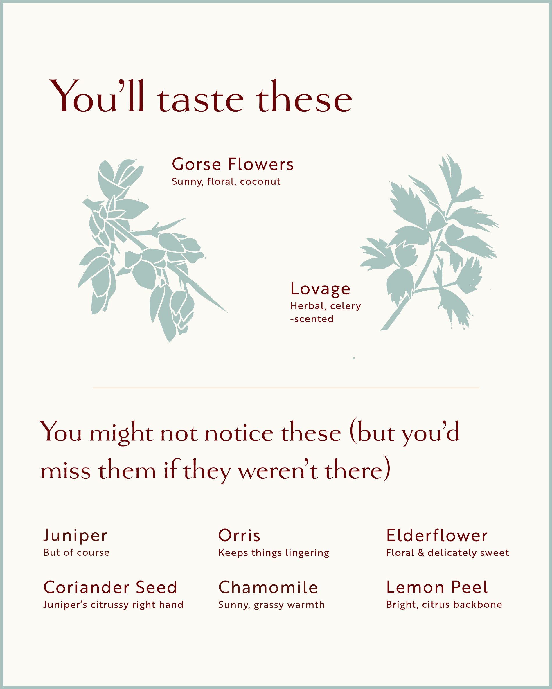 Botanicals graphic for Loveday Kissing Gate Gin: gorse flowers, lovage, juniper, coriander seed, orris, chamomile, elderflower, lemon peel