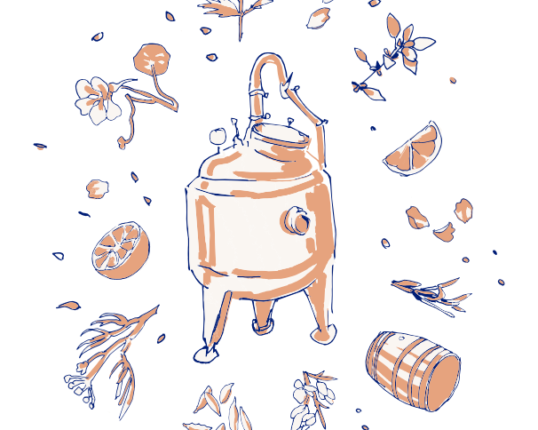 Illustrated graphic of a copper pot still surrounded by botanicals, citrus, barrel, and herbs for Loveday Distillery gin tour