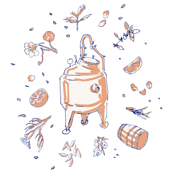 Illustrated graphic of a copper pot still surrounded by botanicals, citrus, barrel, and herbs for Loveday Distillery gin tour